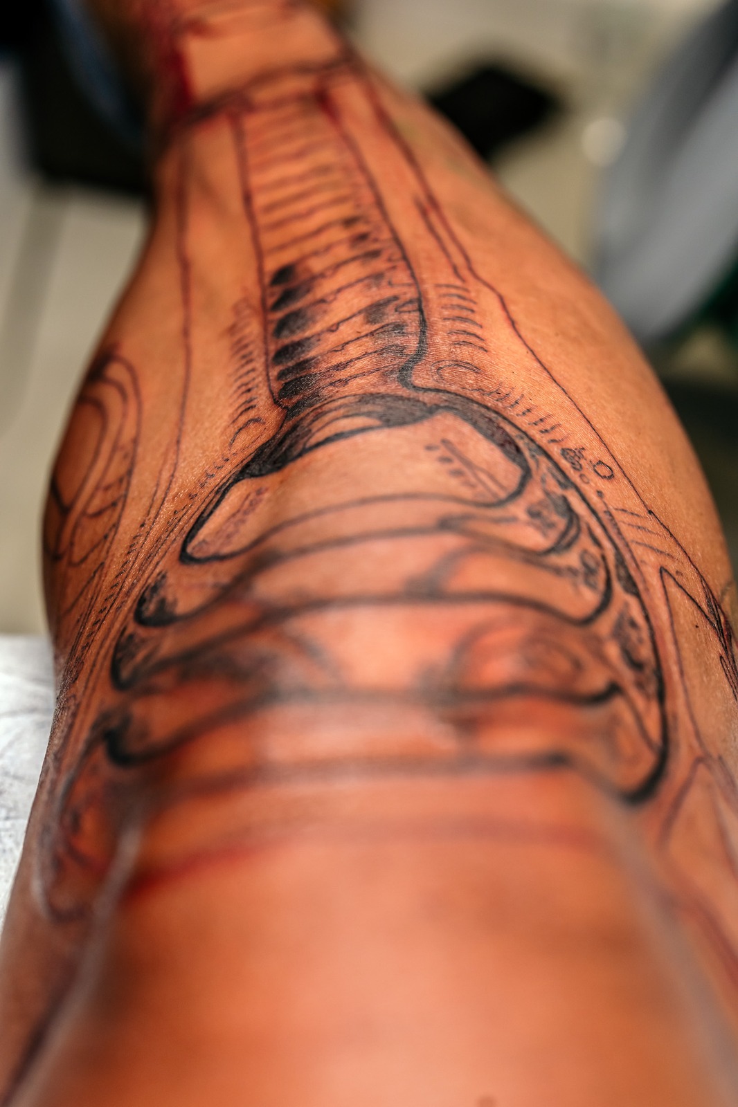 Black and red outlines of bones and mechanical shapes cover a person's leg.