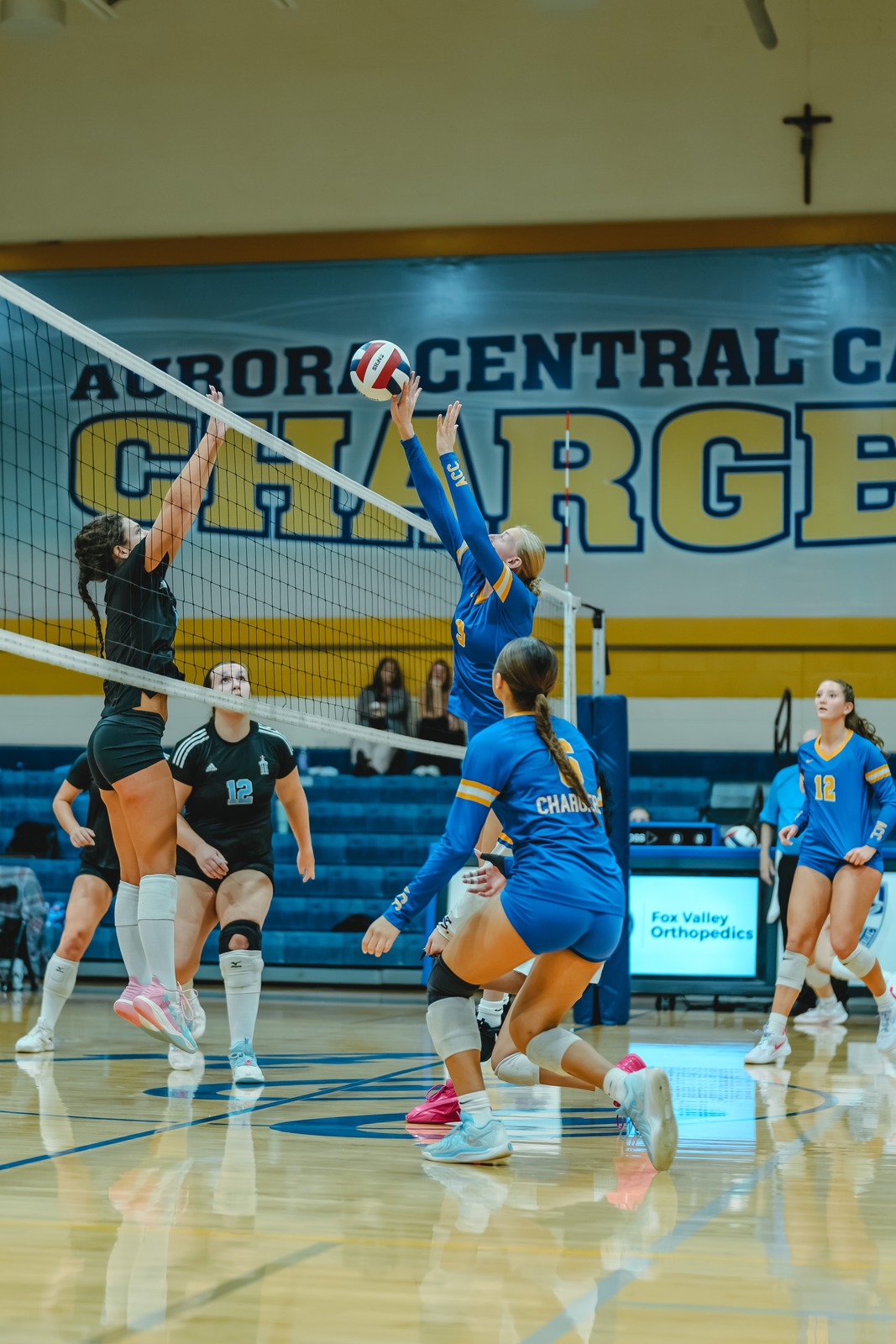 A player in blue reaches overhead for the ball near a player in black.